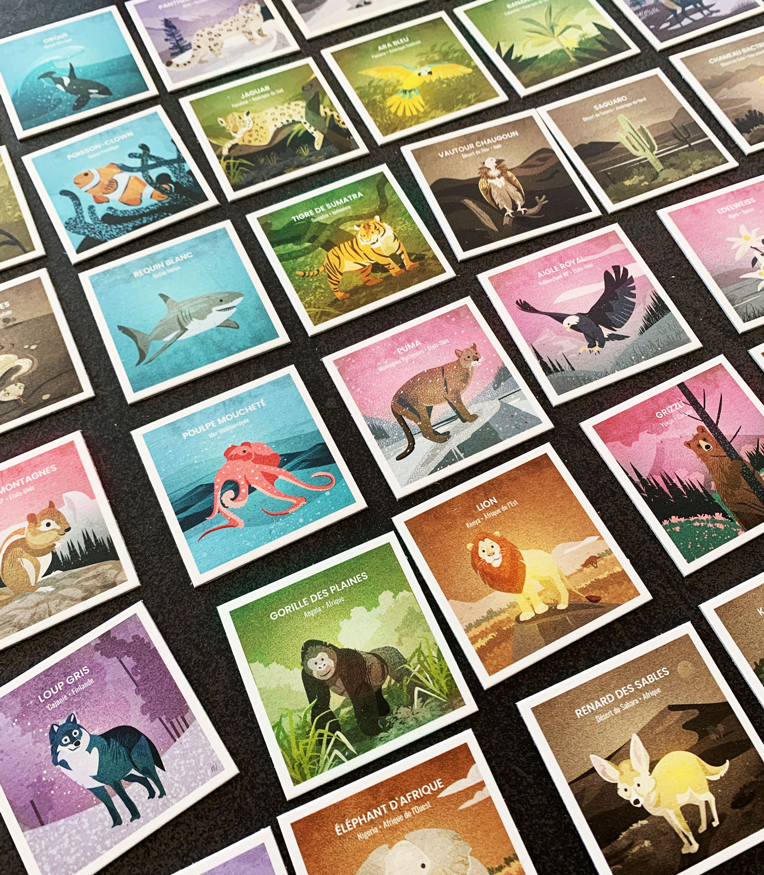 animals_memory