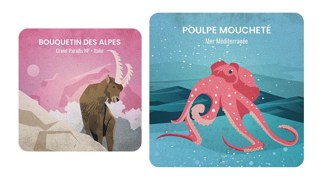 cards_animals_example