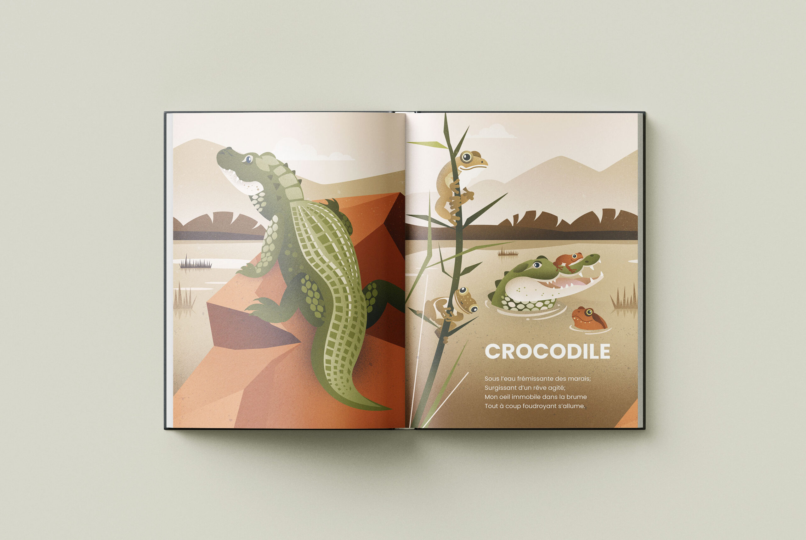 regard_animal_Croco