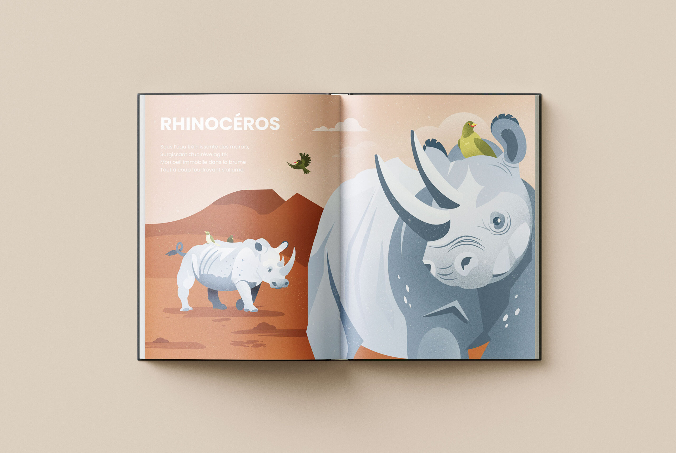 regard_animal_Rhino